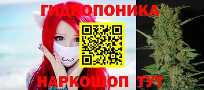 стаф Севастополь