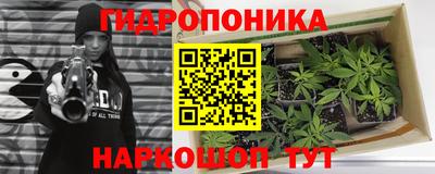стаф Севастополь